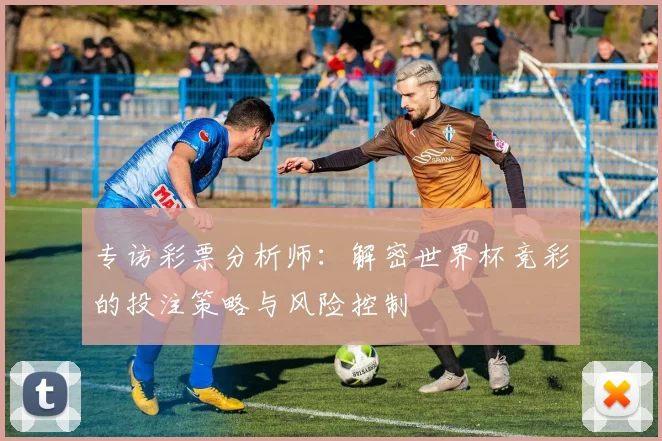专访彩票分析师：解密世界杯竞彩的投注策略与风险控制