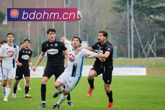 九游官网在线入口APP 封面图